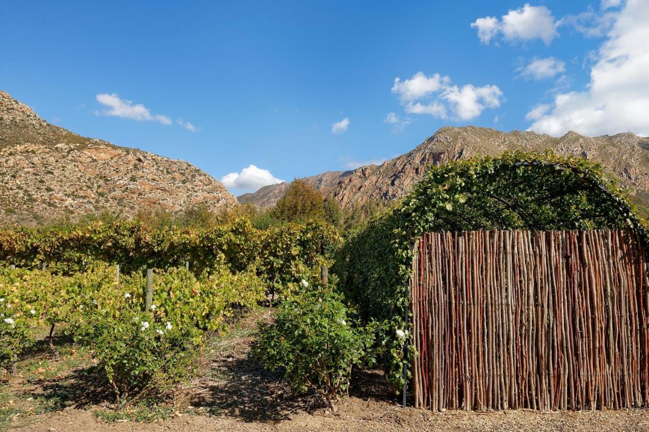 Jus Limin Hotel Montagu Exterior foto